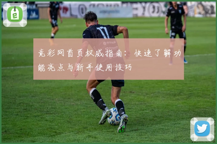 竟彩网首页权威指南：快速了解功能亮点与新手使用技巧