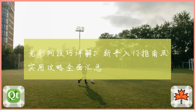 竞彩网技巧详解：新手入门指南及实用攻略全面汇总