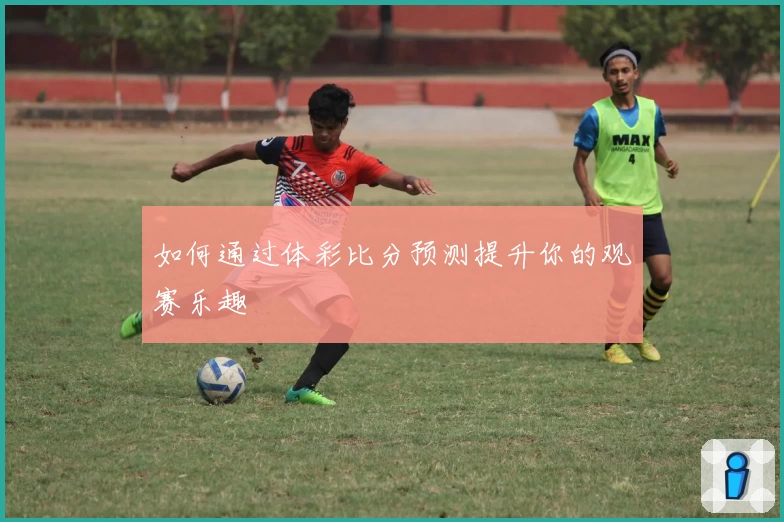 如何通过体彩比分预测提升你的观赛乐趣