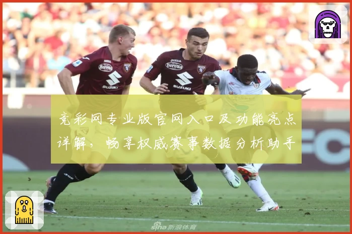 竞彩网专业版官网入口及功能亮点详解，畅享权威赛事数据分析助手