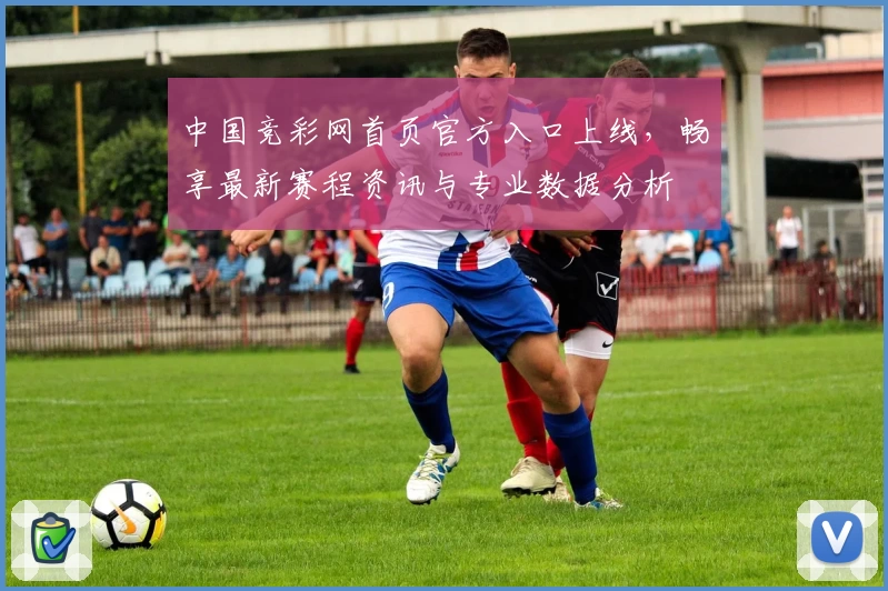 中国竞彩网首页官方入口上线，畅享最新赛程资讯与专业数据分析