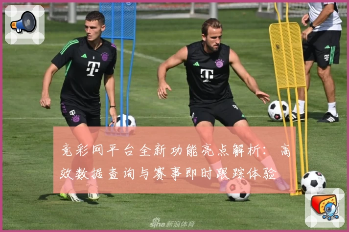 竞彩网平台全新功能亮点解析：高效数据查询与赛事即时跟踪体验