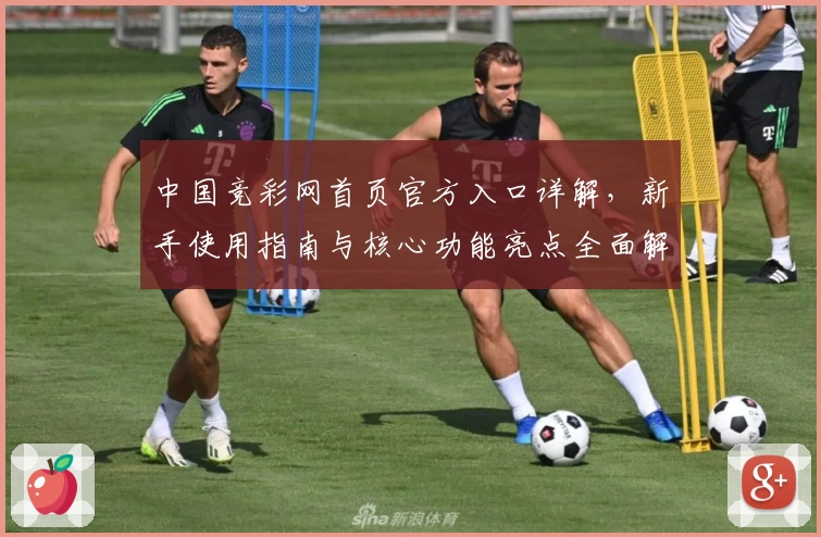 中国竞彩网首页官方入口详解，新手使用指南与核心功能亮点全面解析